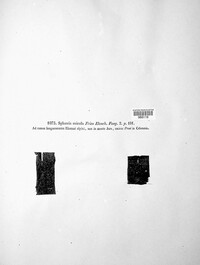 Sphaeria micula image